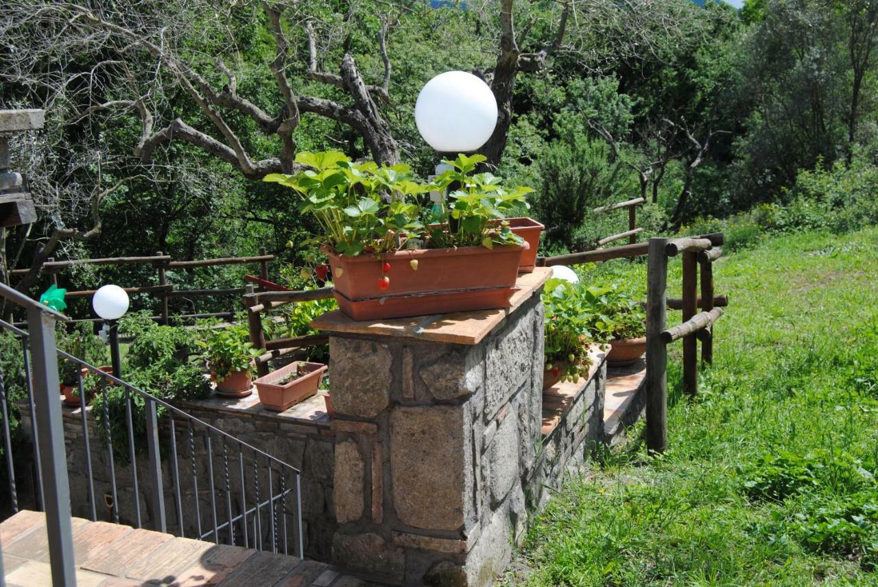 Villa Farfalla Bianca Vitorchiano Exterior photo