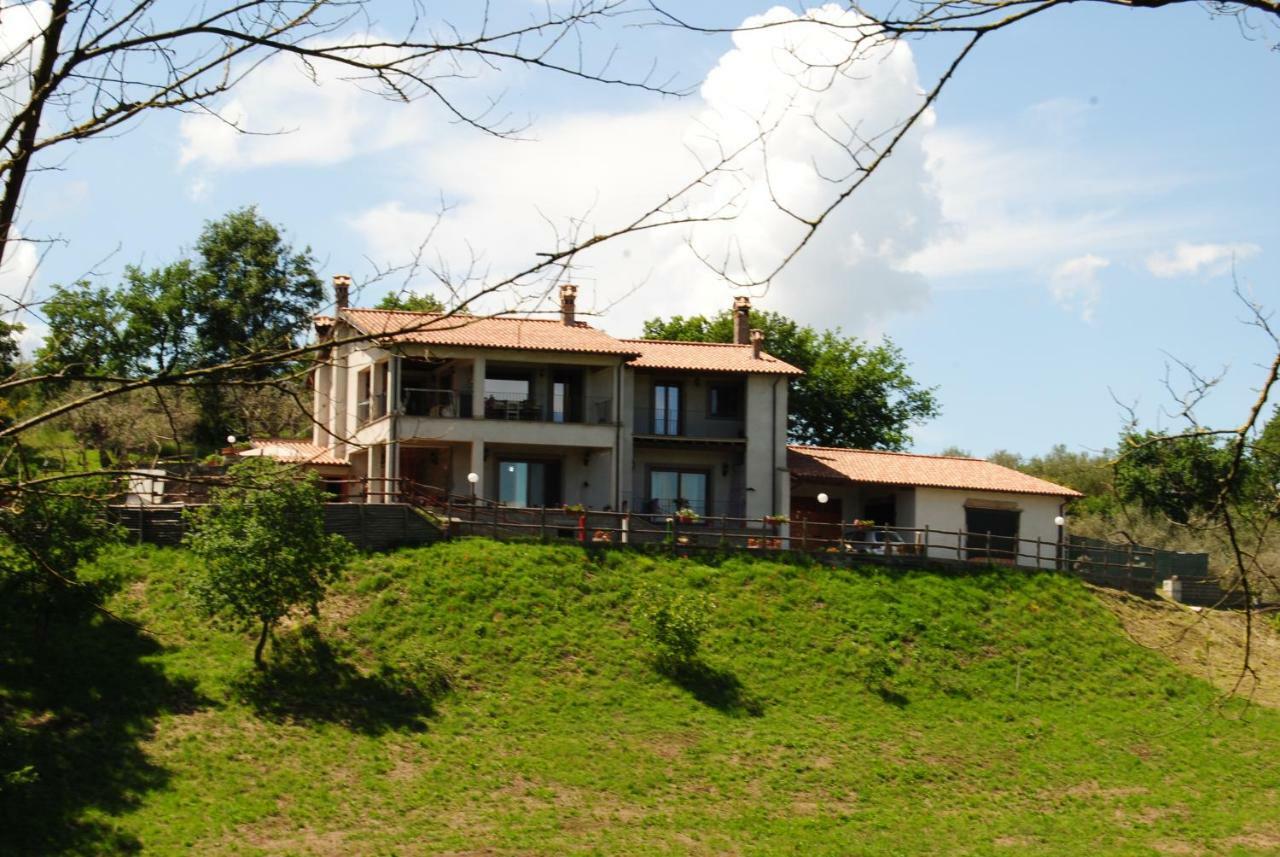 Villa Farfalla Bianca Vitorchiano Exterior photo