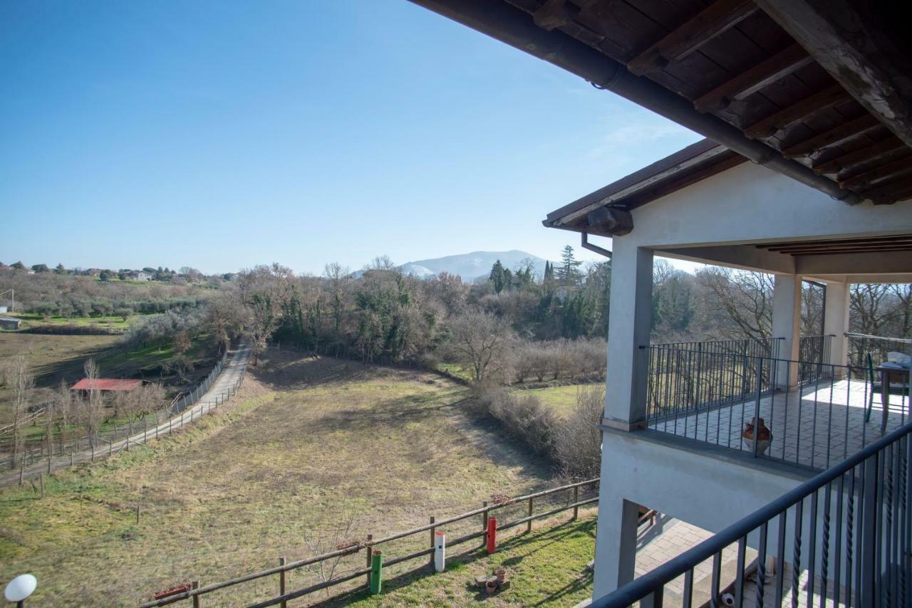 Villa Farfalla Bianca Vitorchiano Exterior photo